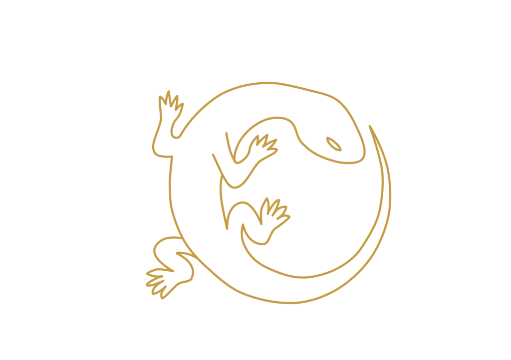 Salamandre alchimique servant de sceau et de signature de l’Atelier Alchimique, symbole de transformation lié à mes kits d’organisation.